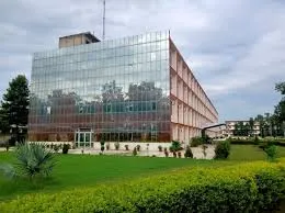Gallery 4