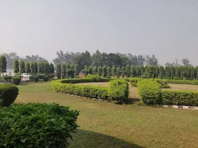 gallery 9