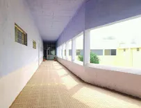 gallery 11