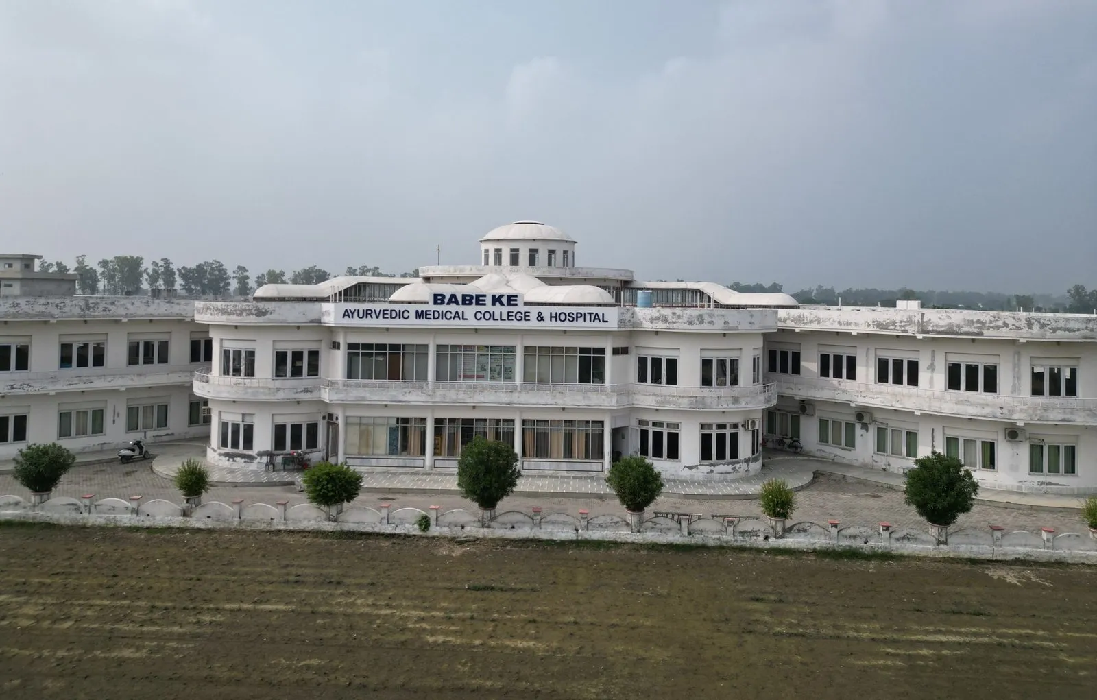 gallery 6
