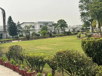 Gallery 5