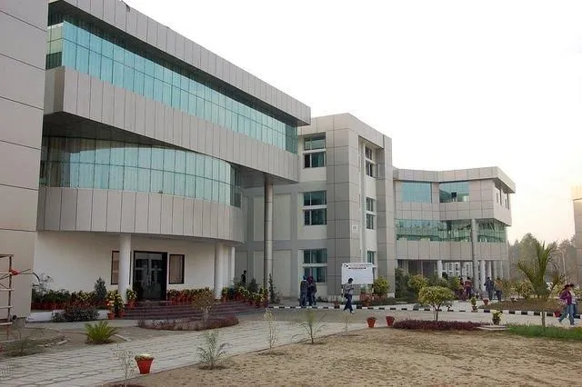Gallery 4