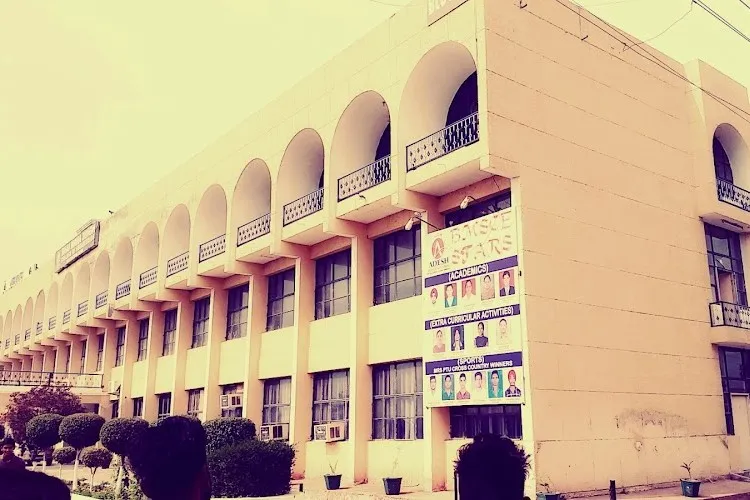 gallery 5