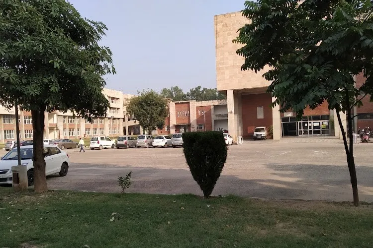 Gallery 5