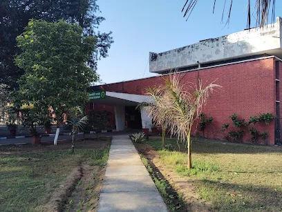 gallery 10