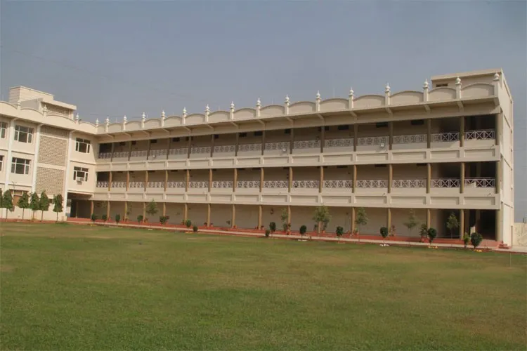gallery 6