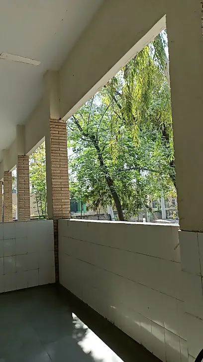 gallery 10
