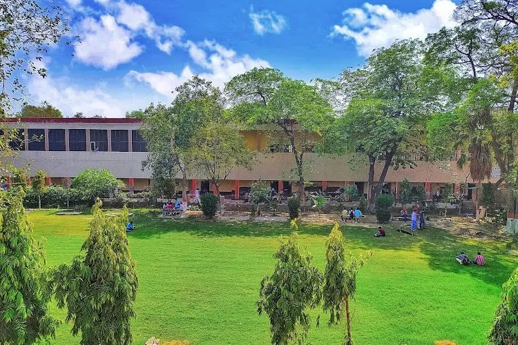 gallery 9