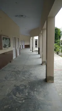 gallery 7