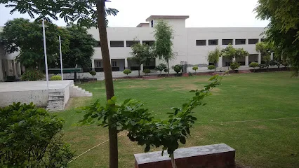 gallery 11