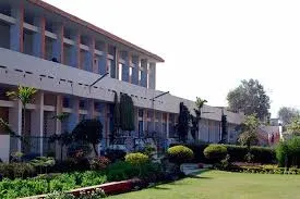 gallery 4