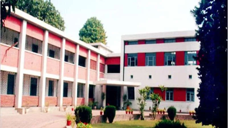 gallery 4