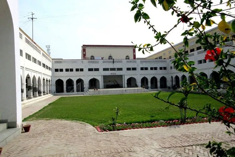 gallery 8