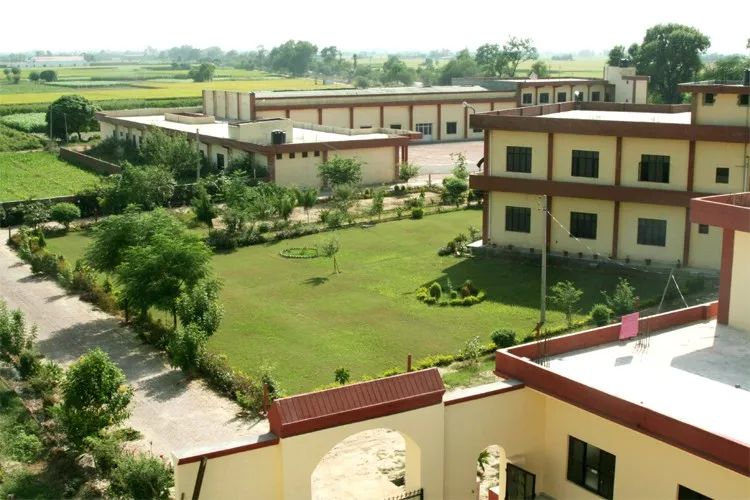 gallery 7