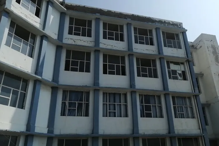 gallery 6