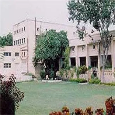 Gallery 5