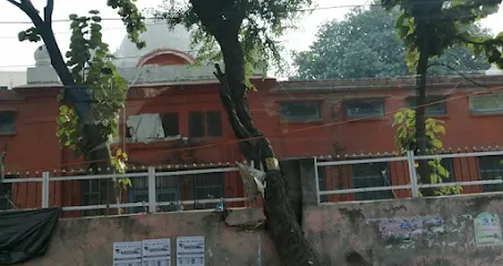 Gallery 5