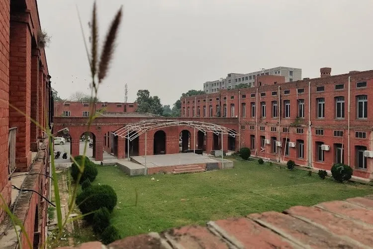 Gallery 5
