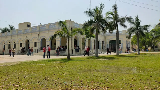gallery 11