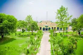 Gallery 4