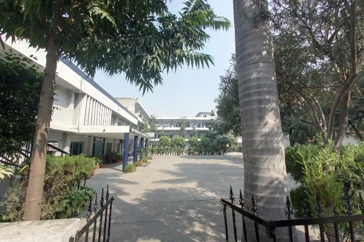 gallery 12