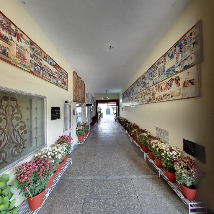 gallery 12