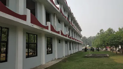gallery 13