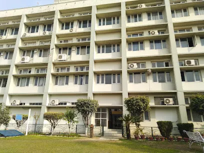 gallery 5