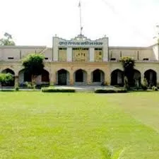 Gallery 5