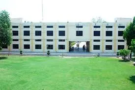 gallery 7