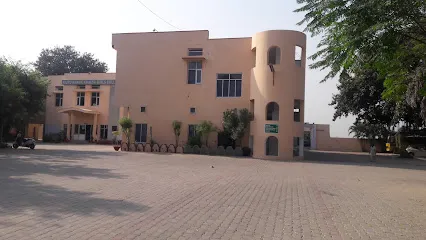 gallery 7