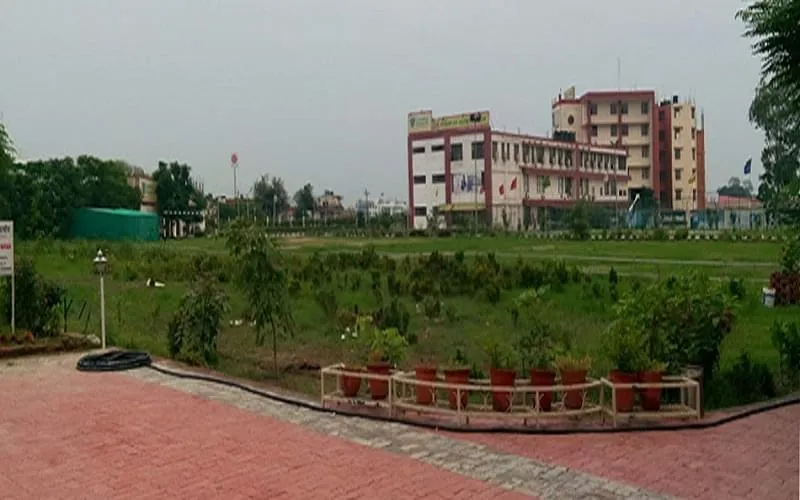gallery 7