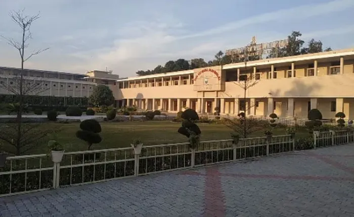gallery 6