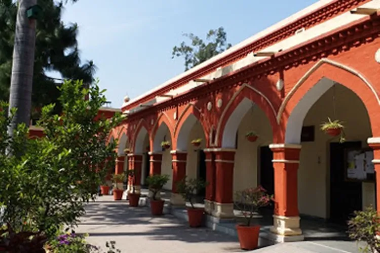 gallery 11