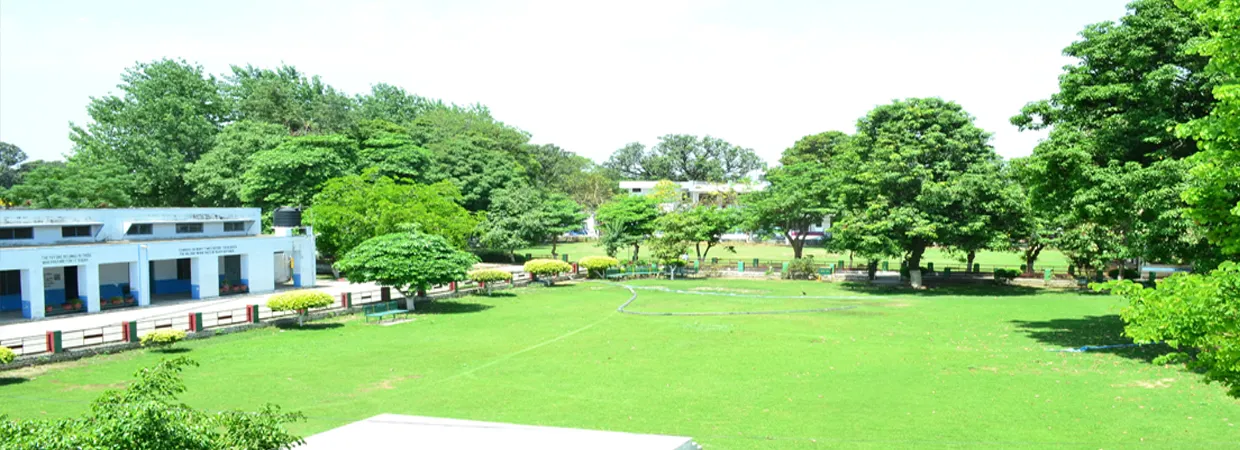 gallery 9