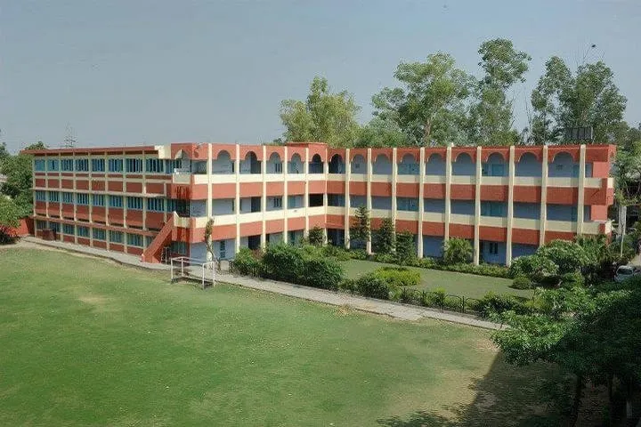 Gallery 5