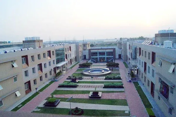 Gallery 5