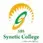 Synetic Business School