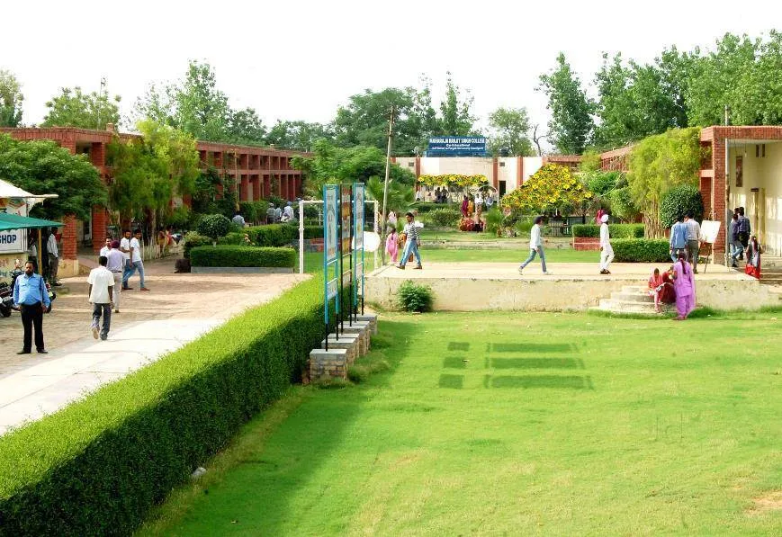 Gallery 4
