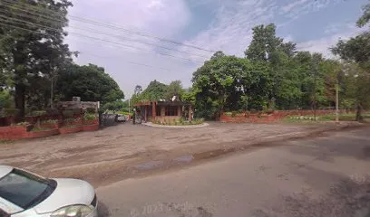gallery 7