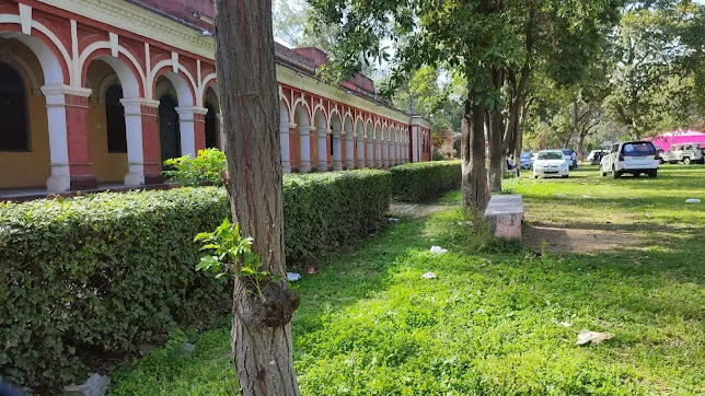 gallery 6