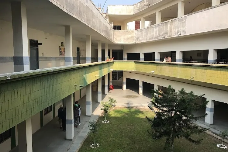 gallery 6