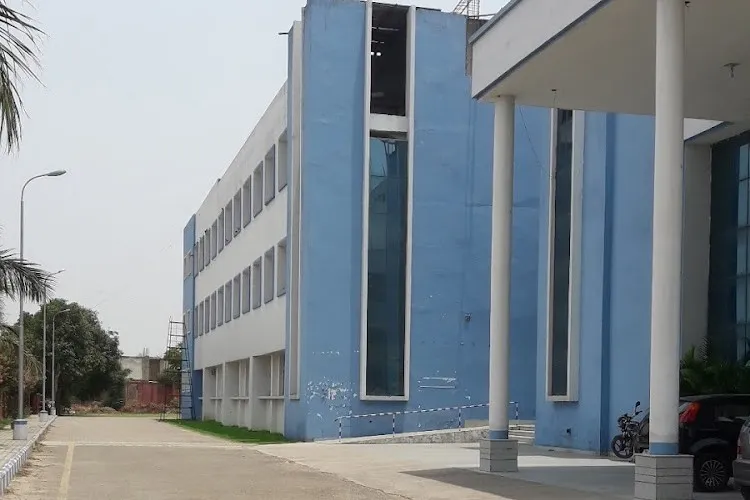 gallery 6
