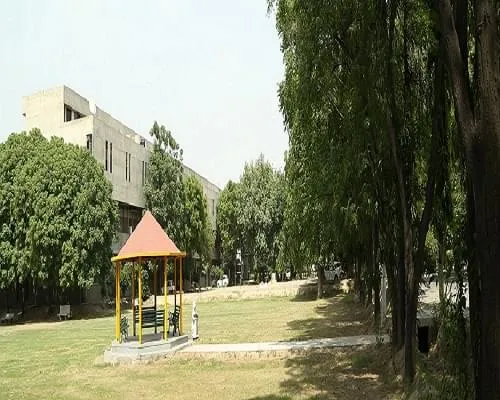 Gallery 4