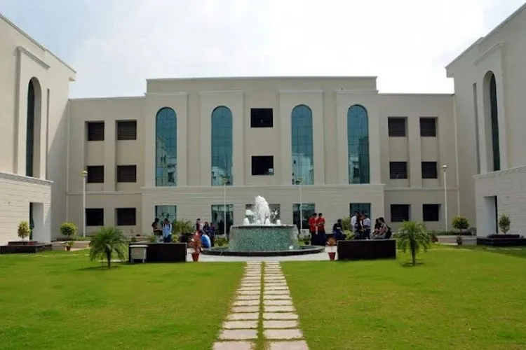 gallery 8