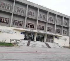 Gallery 5