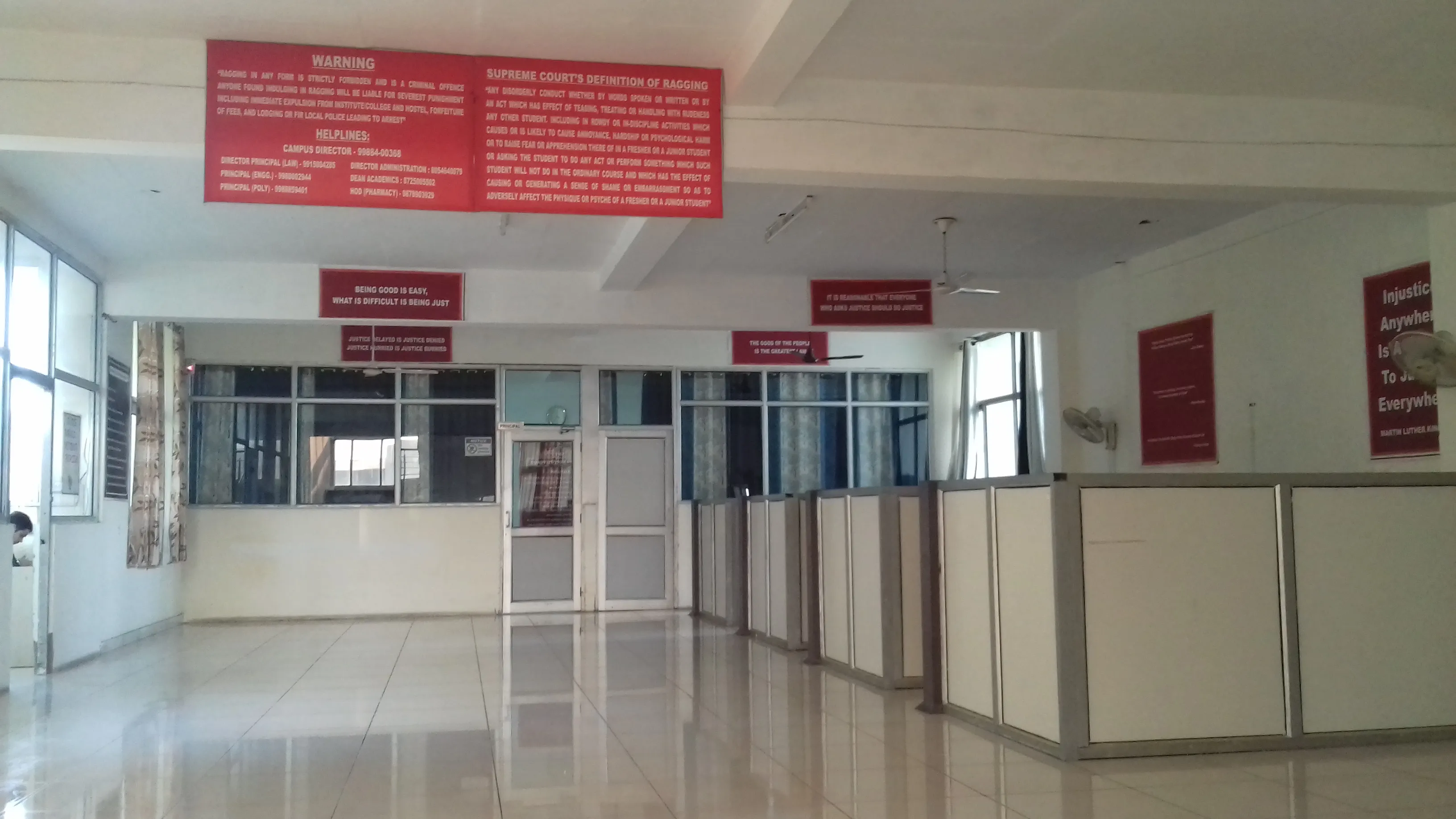 gallery 7