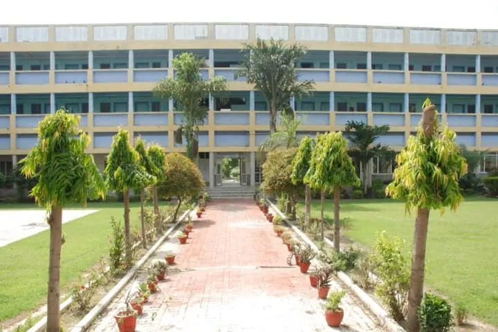 gallery 6