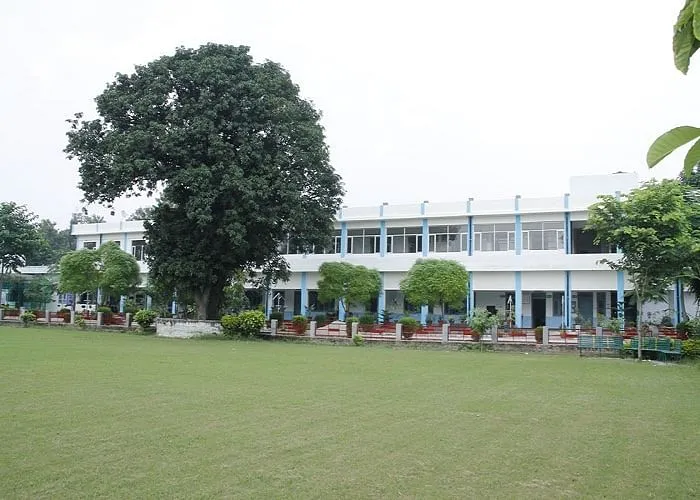 gallery 10