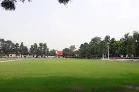 Gallery 4